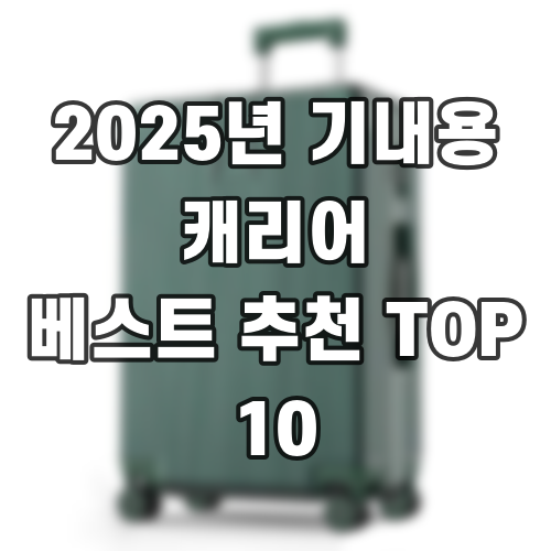 2025년 기내용 캐리어 베스트 추천 TOP 10