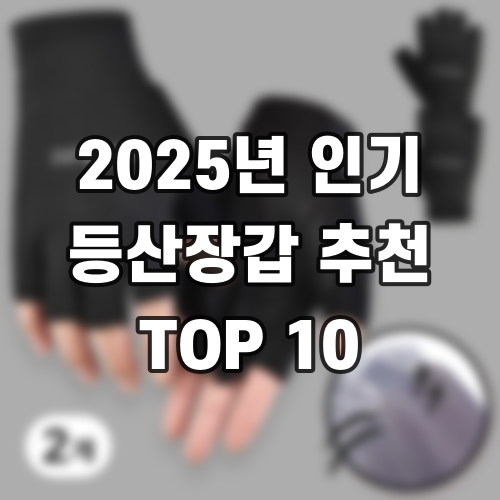 2025년 인기 등산장갑 추천 TOP 10