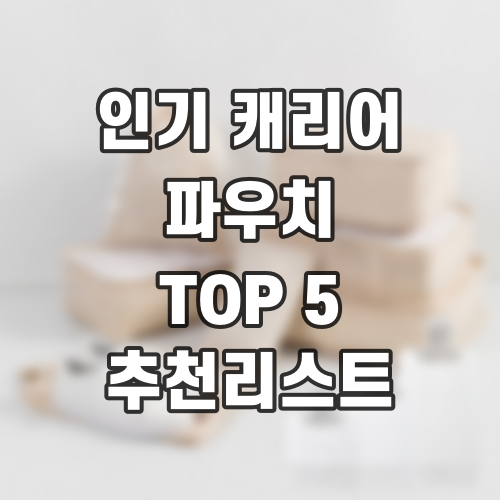 인기 캐리어 파우치 TOP 5 추천리스트