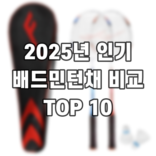 2025년 인기 배드민턴채 비교 TOP 10