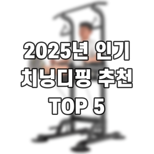 2025년 인기 치닝디핑 추천 TOP 5